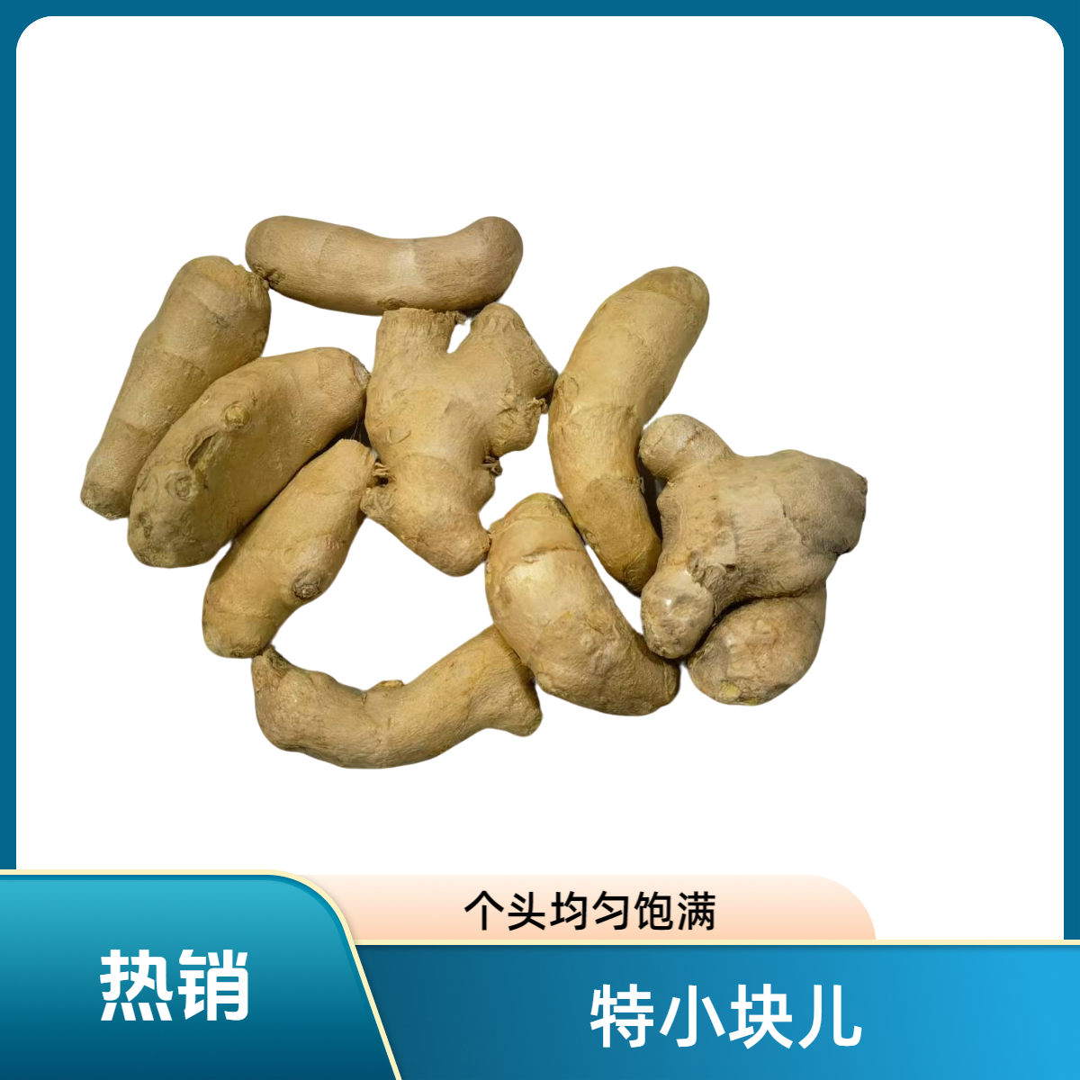唐山特小块儿大姜养生泡脚