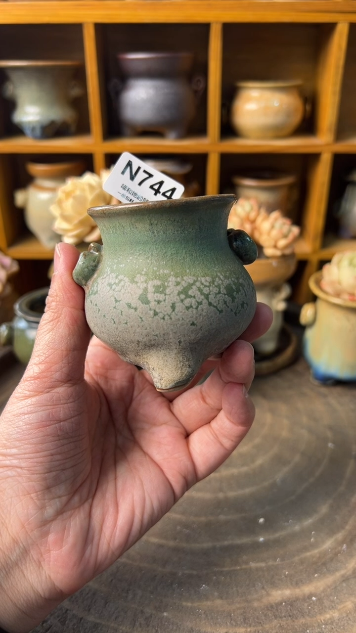 天**蓝744【多肉花盆多肉盆】