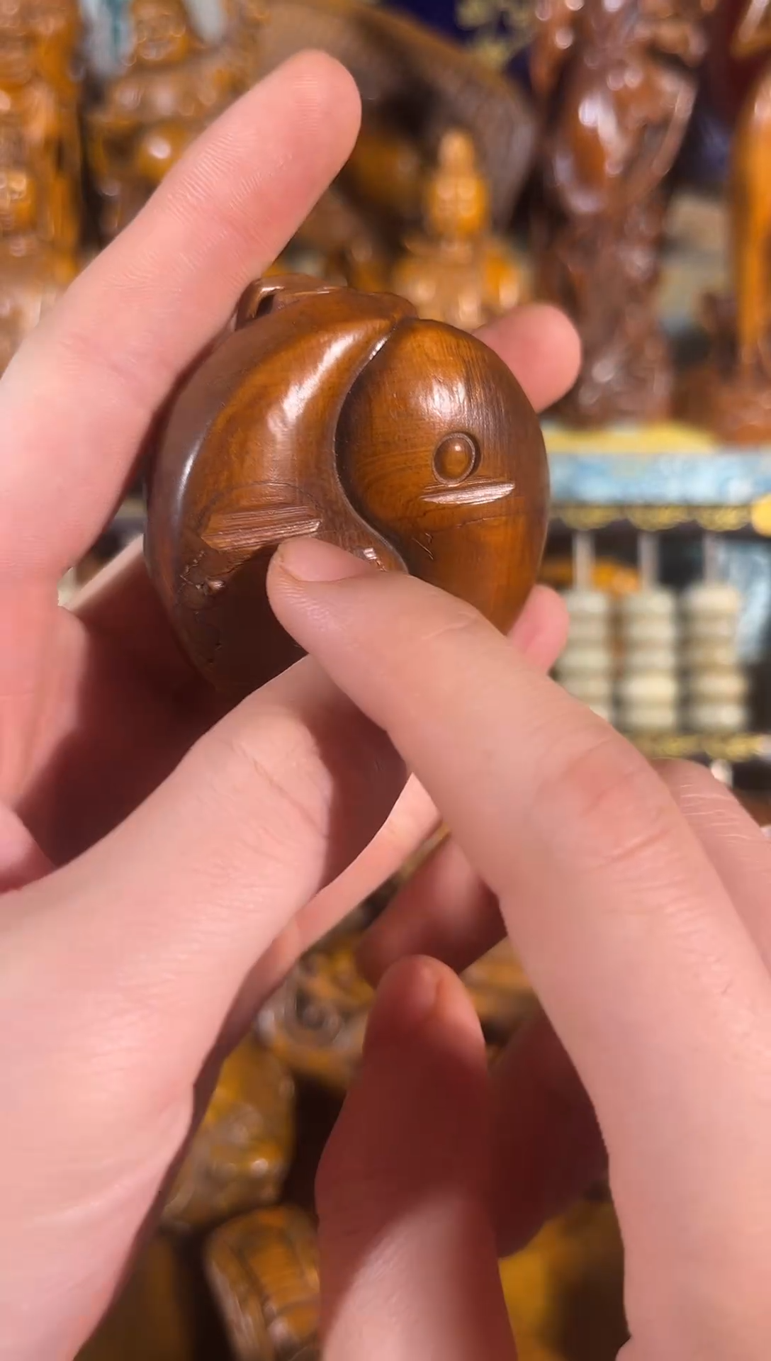 黄杨木11111111111111111