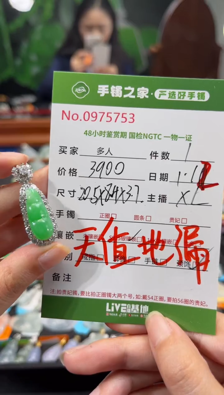 【闪购商品】翡翠颈饰银S925镶嵌多人