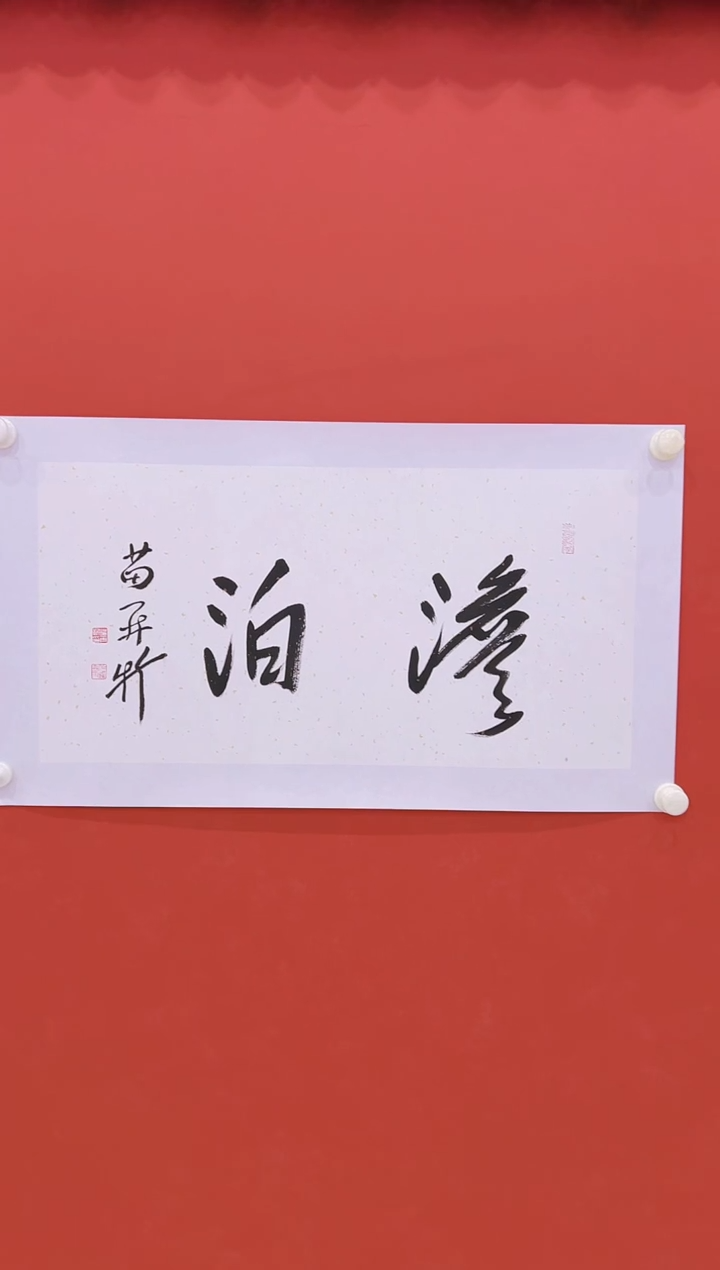 【闪购商品】书法 苗再新58  合影