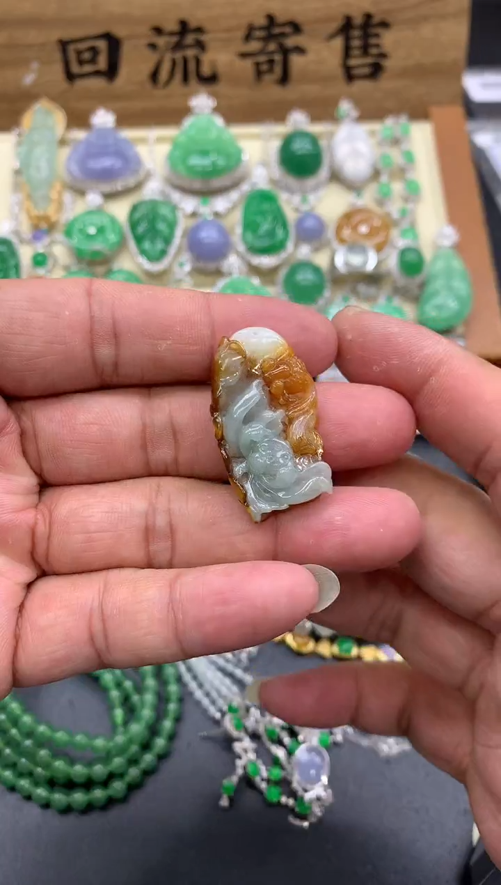 【闪购商品】翡翠颈饰未镶嵌14-中国好珍宝