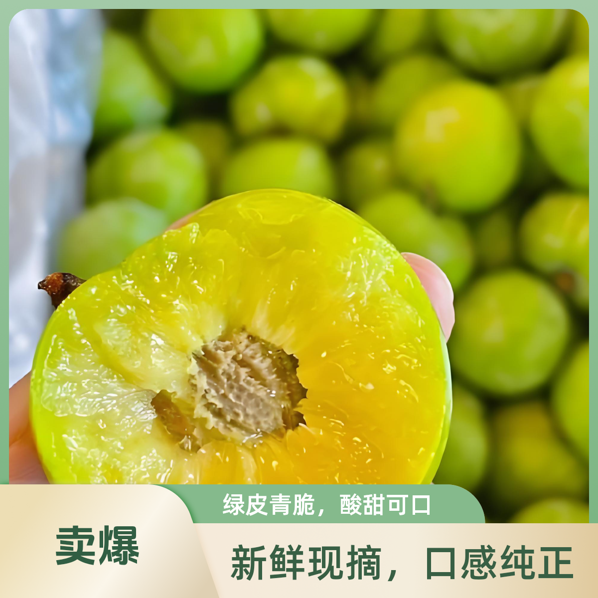 四川青脆脱骨李5斤四川省