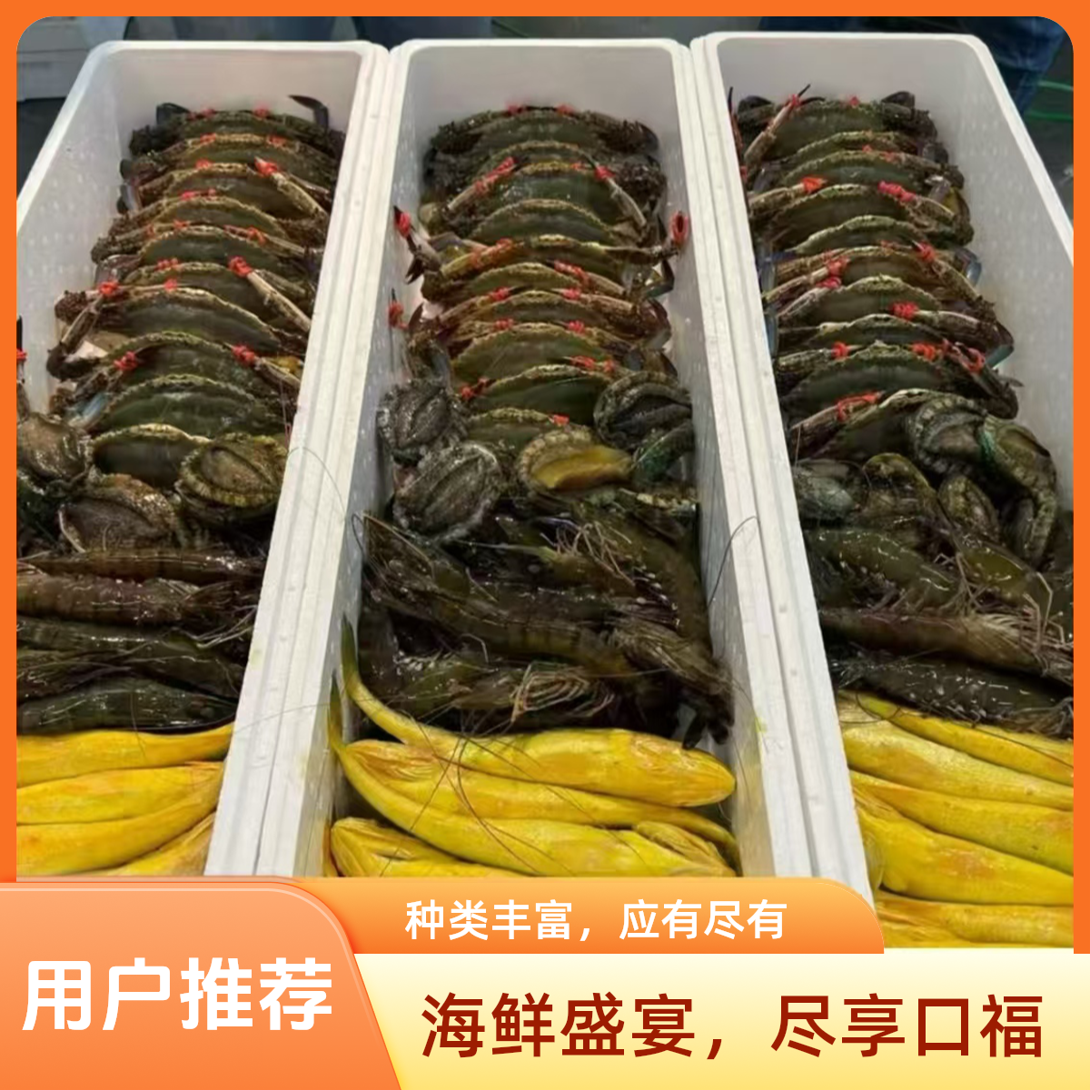 豪华海鲜大礼包  鲜活冷冻海鲜套餐 各种海鲜拼搭大礼包 送礼佳品