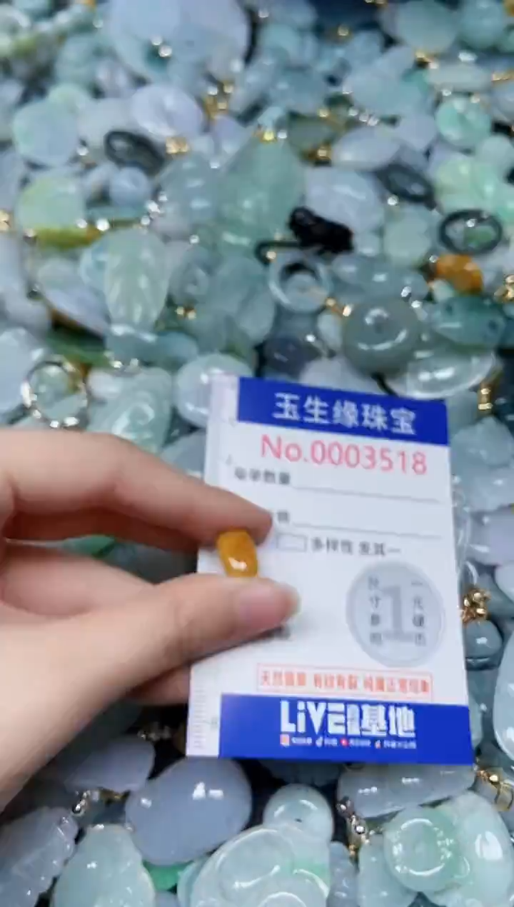 【闪购商品】翡翠颈饰未镶嵌闪购00003518