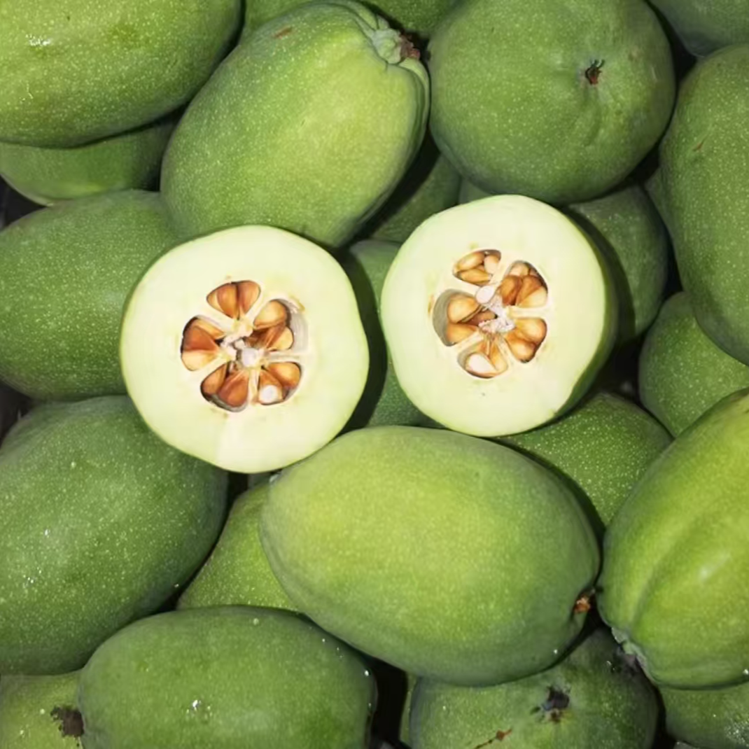 【助农专属】新鲜采摘酸木瓜酸脆可口腌制酸水果泡酒 现摘现发包邮 