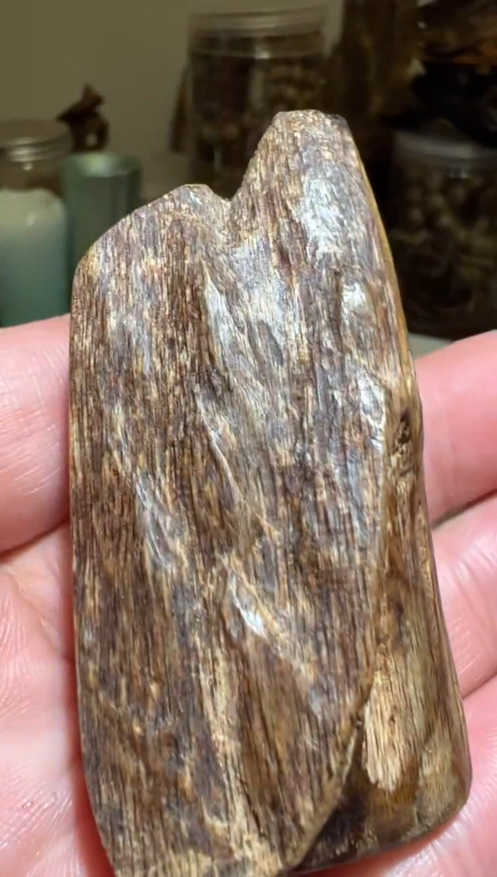 【闪购商品】沉香手把件东马16克