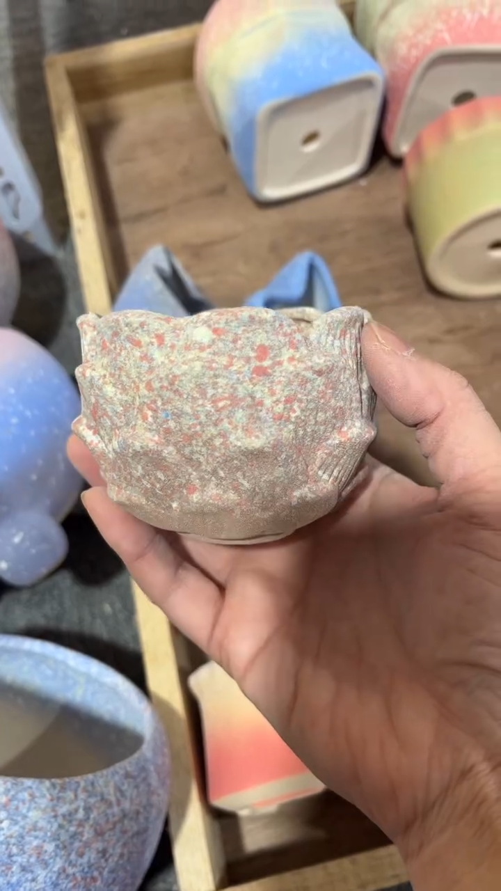 【闪购商品】红陶6*6