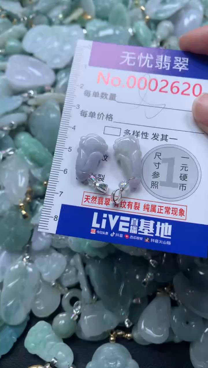 颈饰未镶嵌翡翠2620