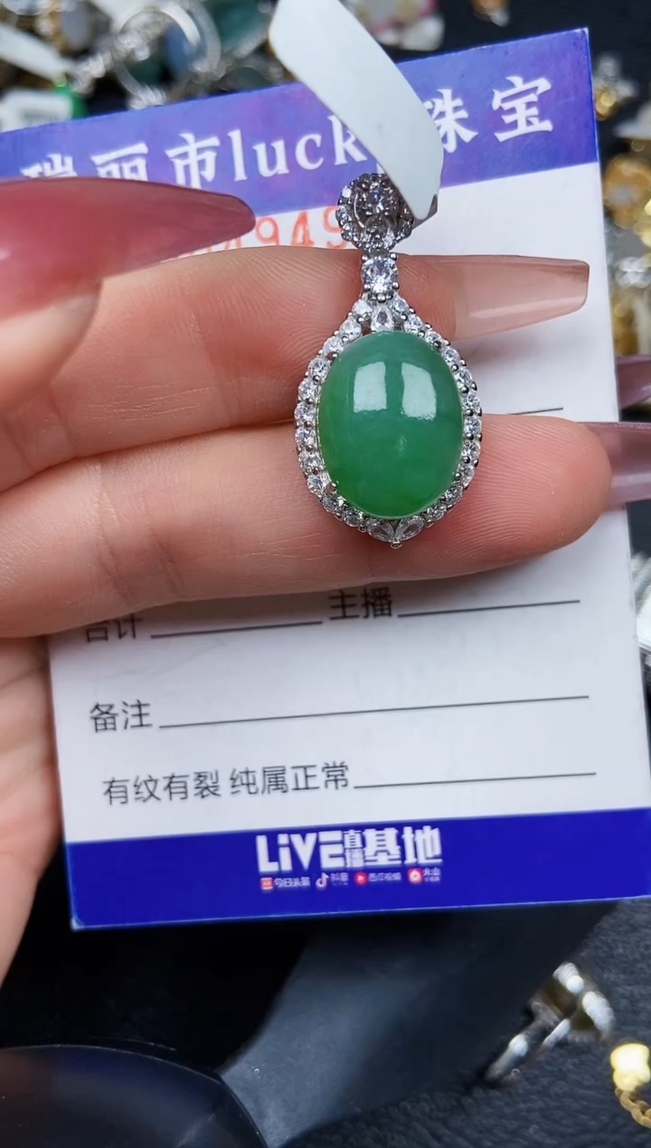 翡翠银S925镶嵌颈饰4949