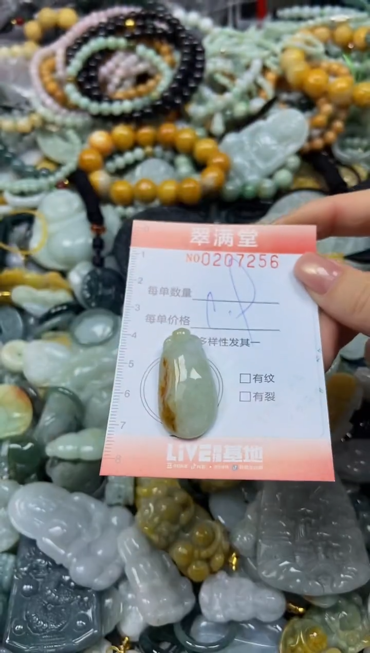颈饰未镶嵌翡翠闪购0207256