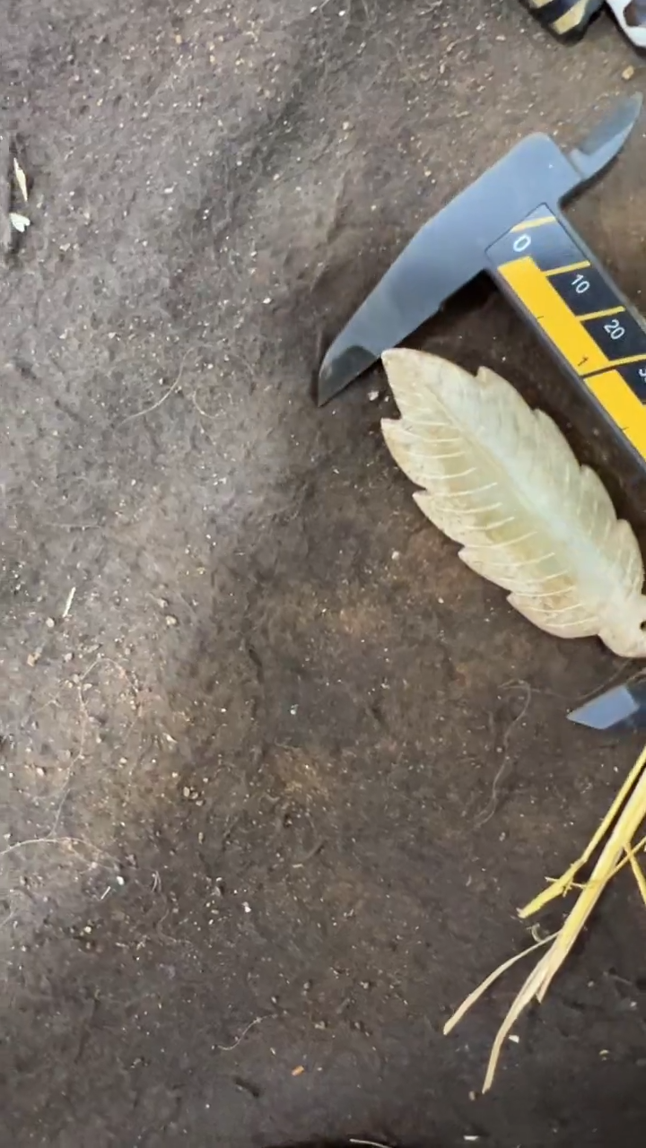 未镶嵌和田玉挂件一单一个