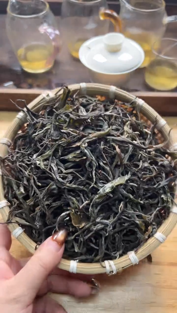 壶9号白云推荐推荐生茶散茶1000克
