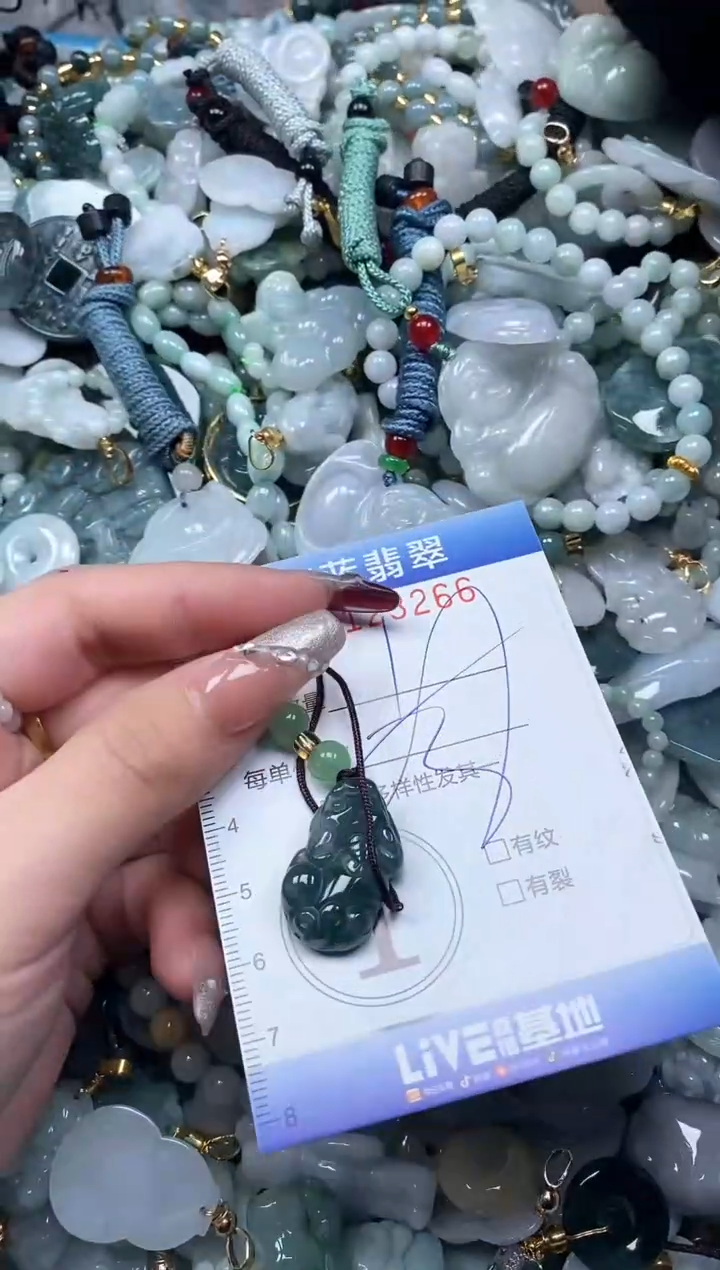 【闪购商品】翡翠颈饰未镶嵌闪购0123266多样性发其一