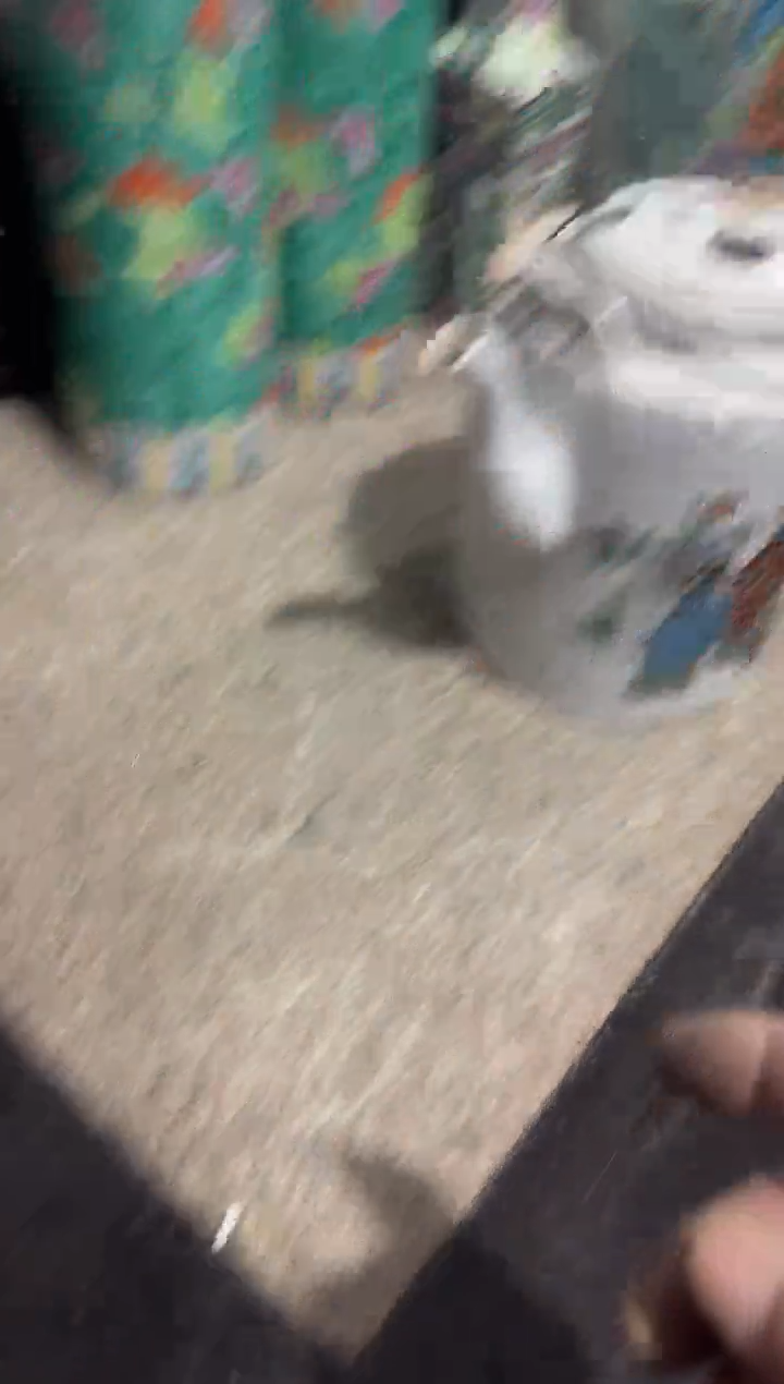 茶盏感*。直播闪购改价链接188