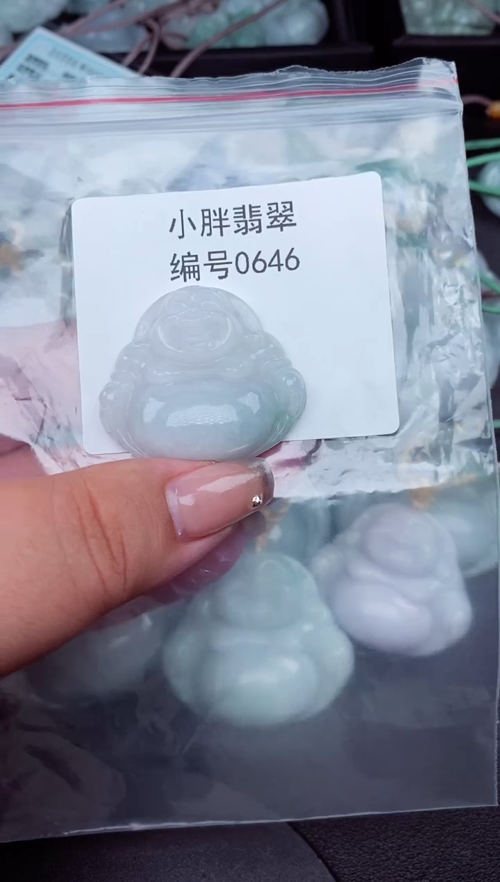 翡翠未镶嵌颈饰缅甸天然A货翡翠0646