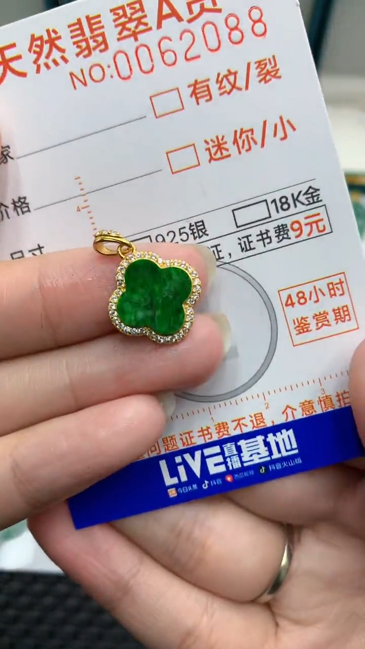 【闪购商品】翡翠颈饰银S925镶嵌            8