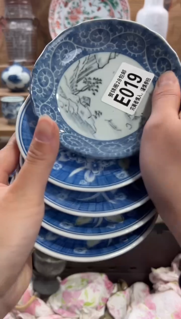 瓷片菜***?      E019