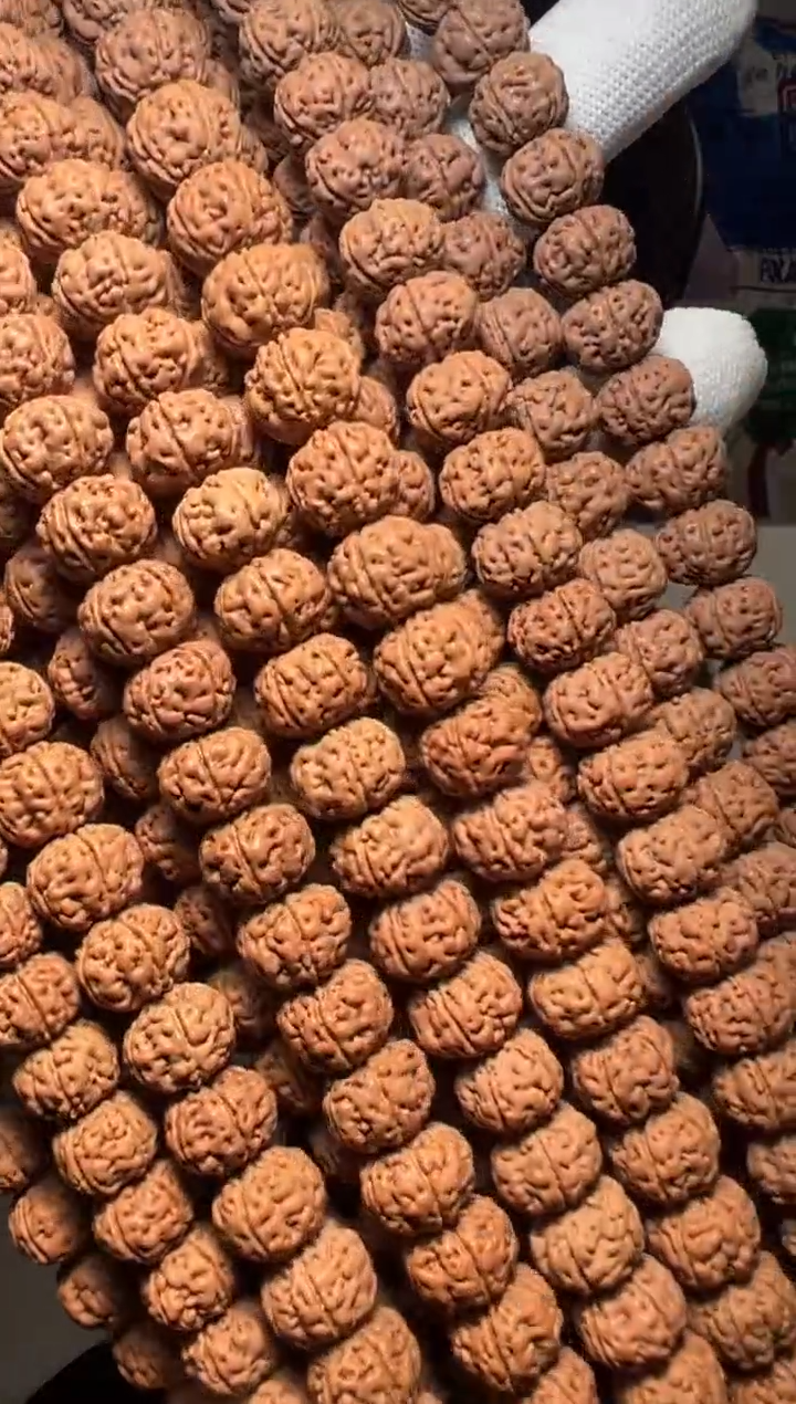 手串金刚菩提无利润超头精挑老树王108-11mm