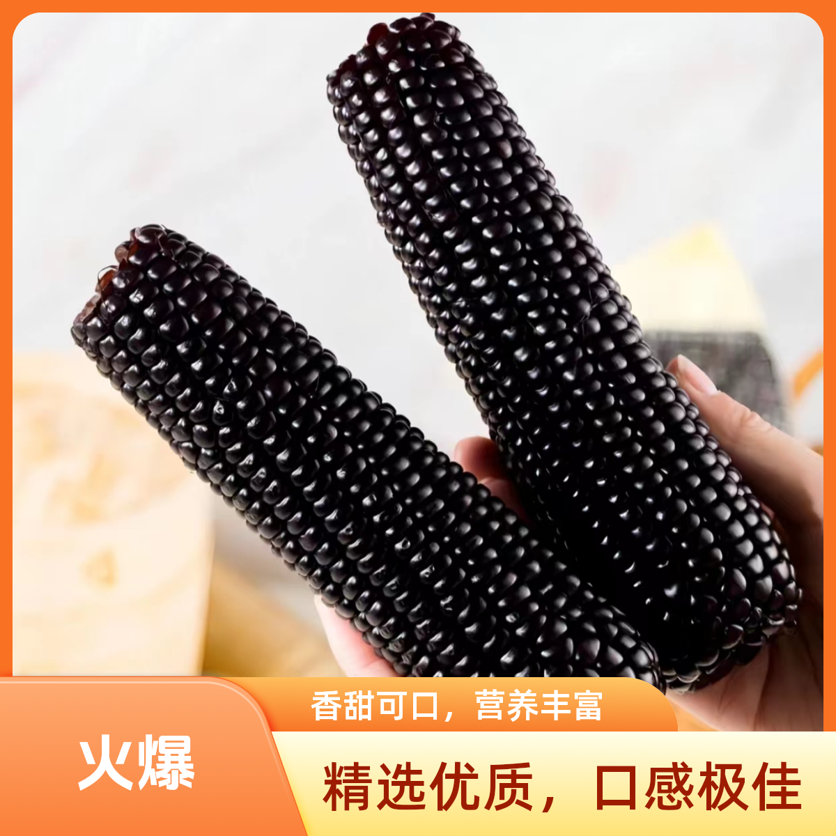 泽玉鲜香【试吃2支】黑色糯玉米非转基因黑玉米拍10送2支7斤