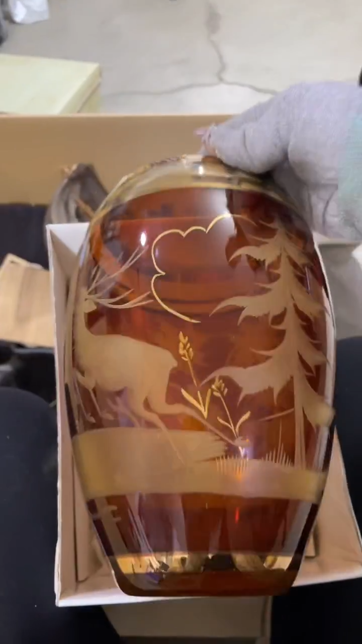 玻璃心**晨心想是晨  