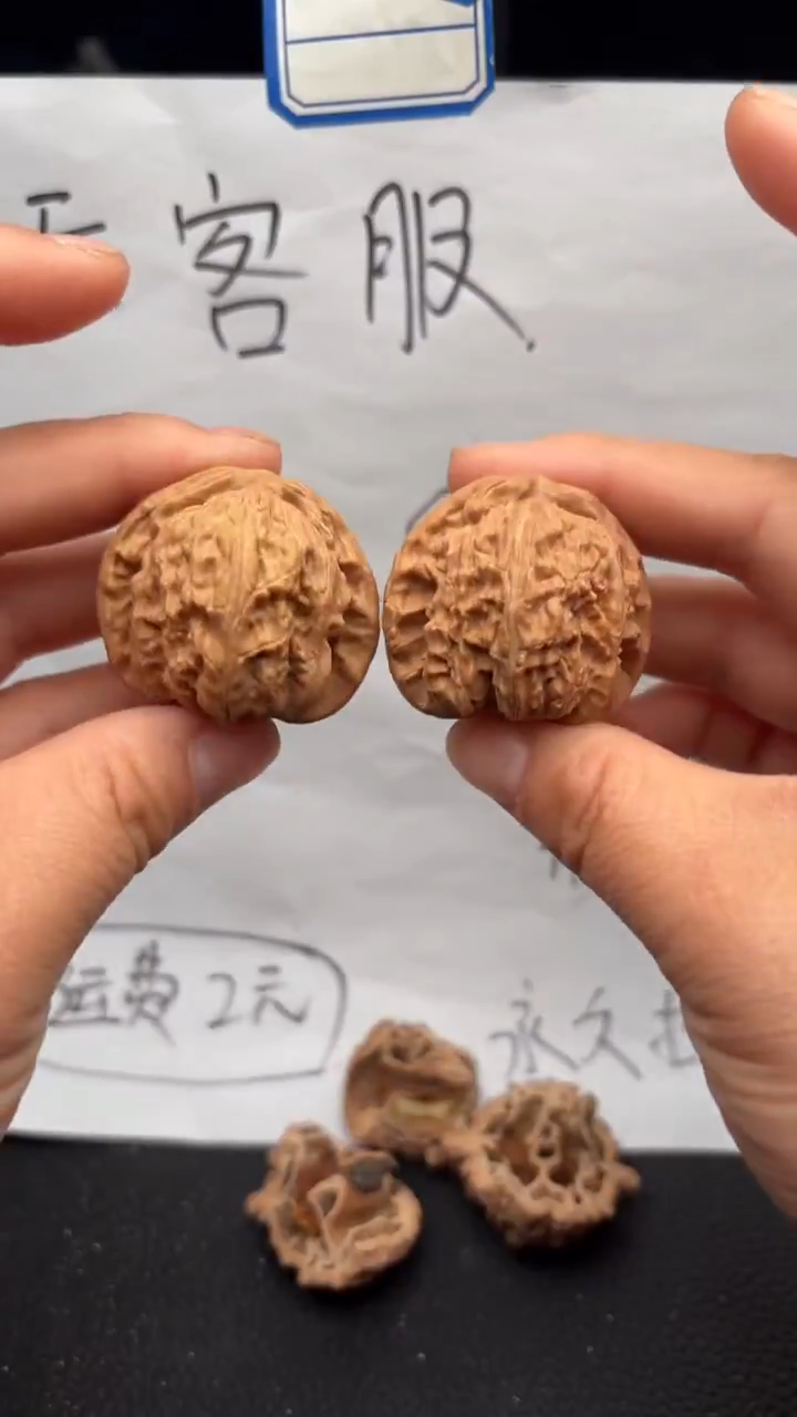 把件文玩核桃547白狮子