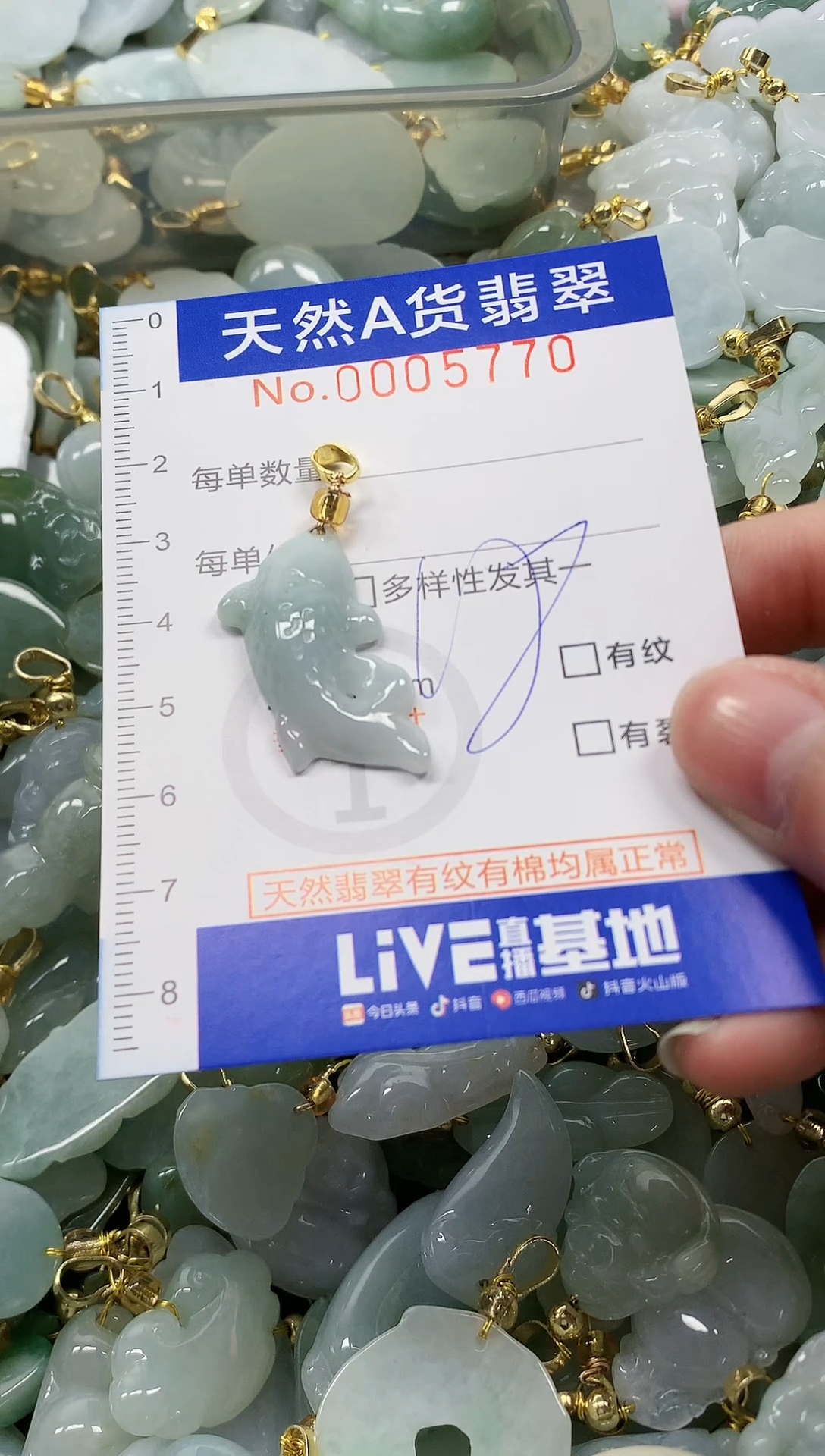 颈饰未镶嵌翡翠纯天然a货翡翠1