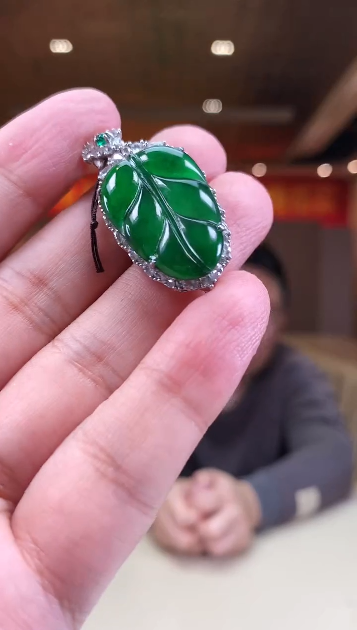 【闪购商品】翡翠颈饰未镶嵌             *146