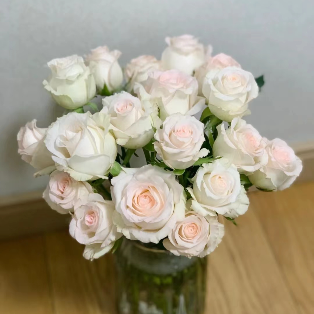 55小白兔10支+小天使康10支+白色单瓣紫罗兰一把+绿灵草一小把