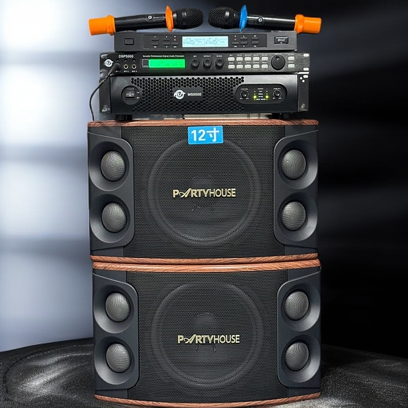 99新  派对屋12寸高端KTV卡包音响一套 运费自理