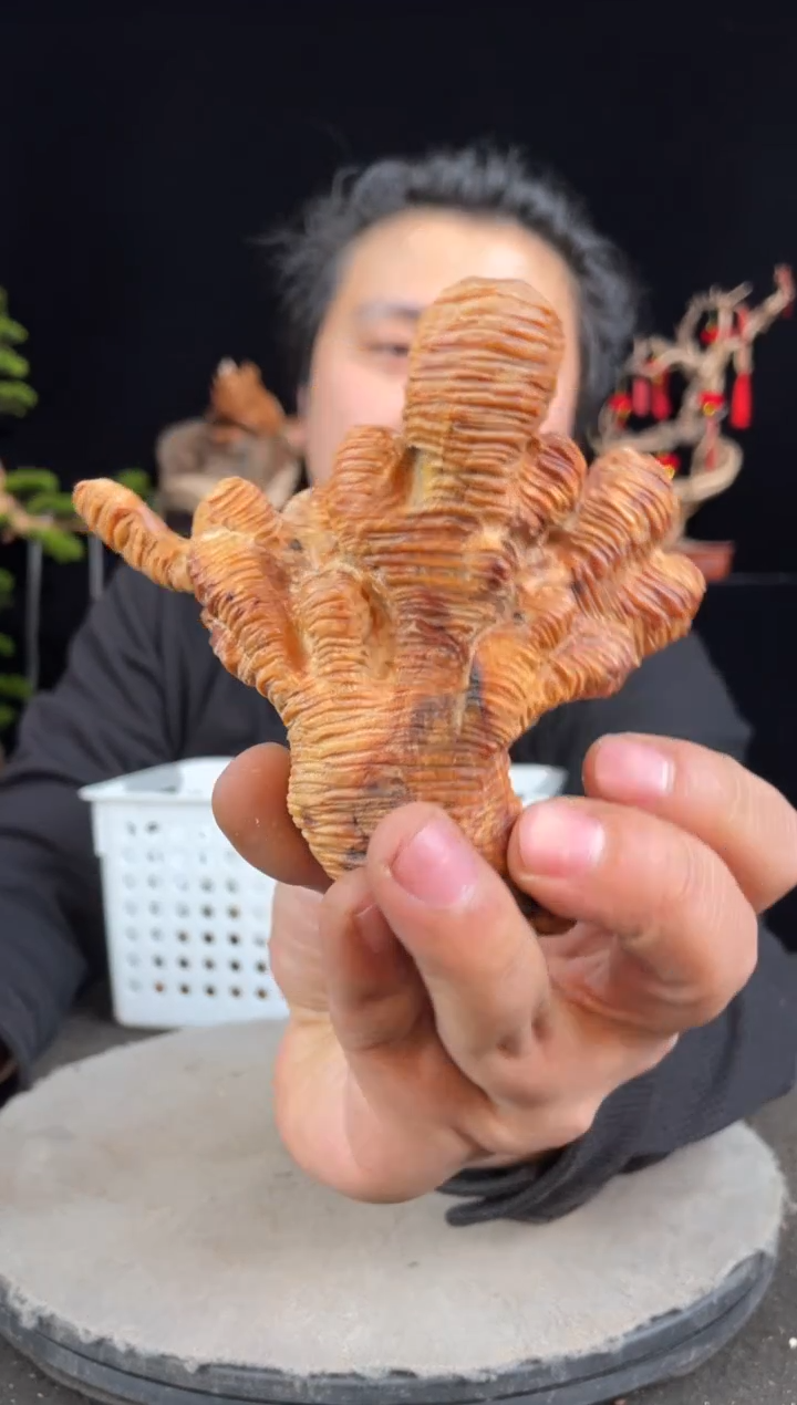 【闪购商品】柏木（崖柏）其他手工摆件,先抢先得!
