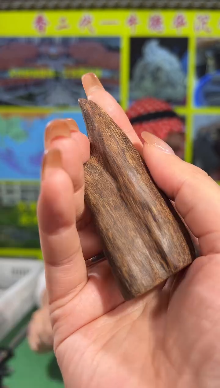 【闪购商品】沉香手把件78号虫漏多样性发一