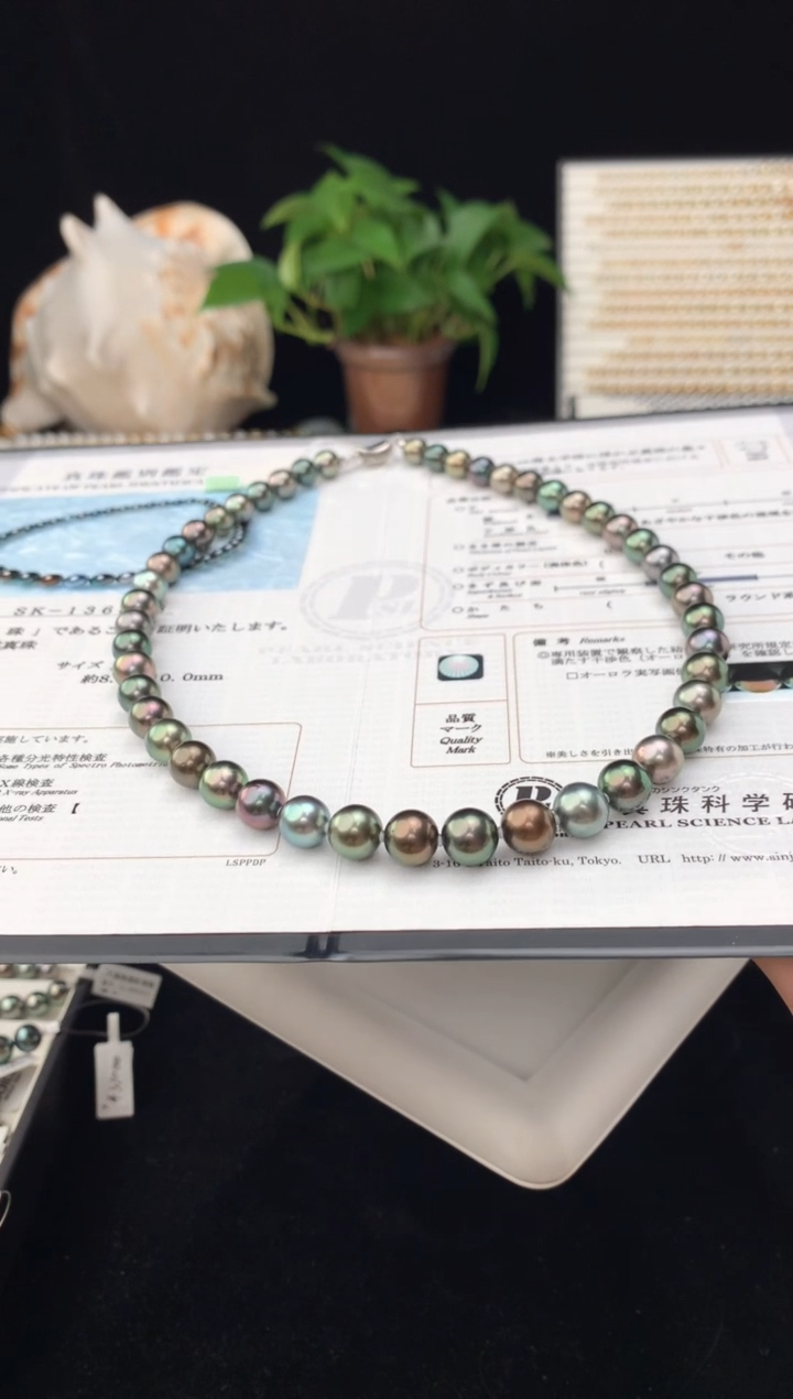 【闪购商品】海水珍珠颈饰银S925镶嵌海水大溪地珍珠项链8-10mm