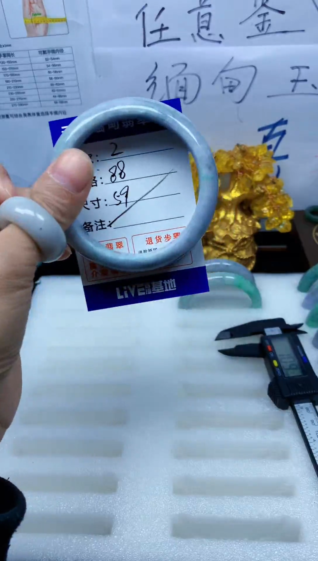 未镶嵌手镯翡翠2