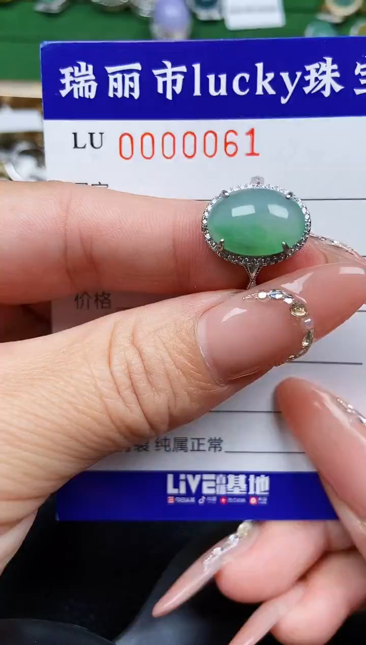 【闪购商品】翡翠颈饰银S925镶嵌0061