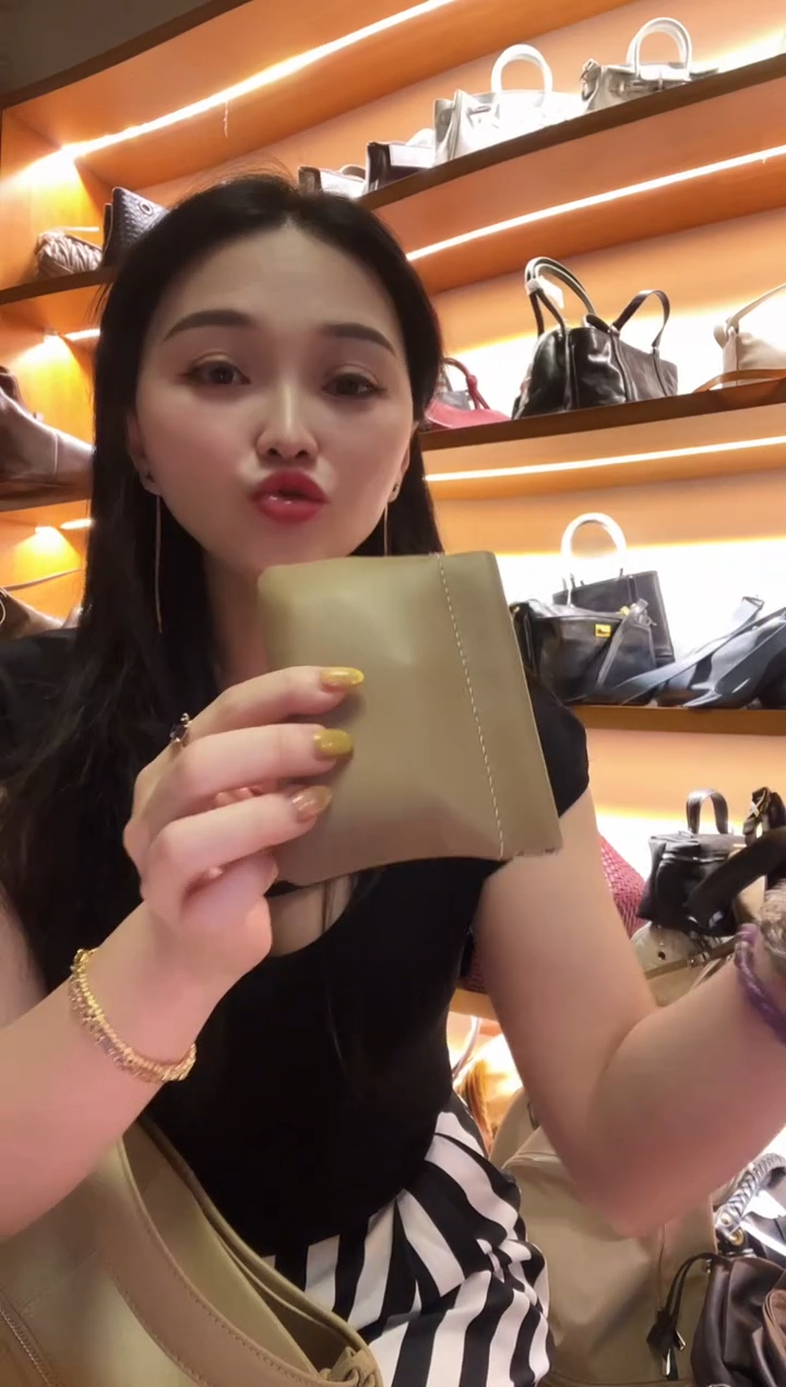 塑料高端订制时尚百搭女士手提斜跨包包（时尚卡包）