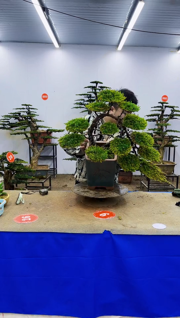 无花朵有*象一物一拍，所见即所得