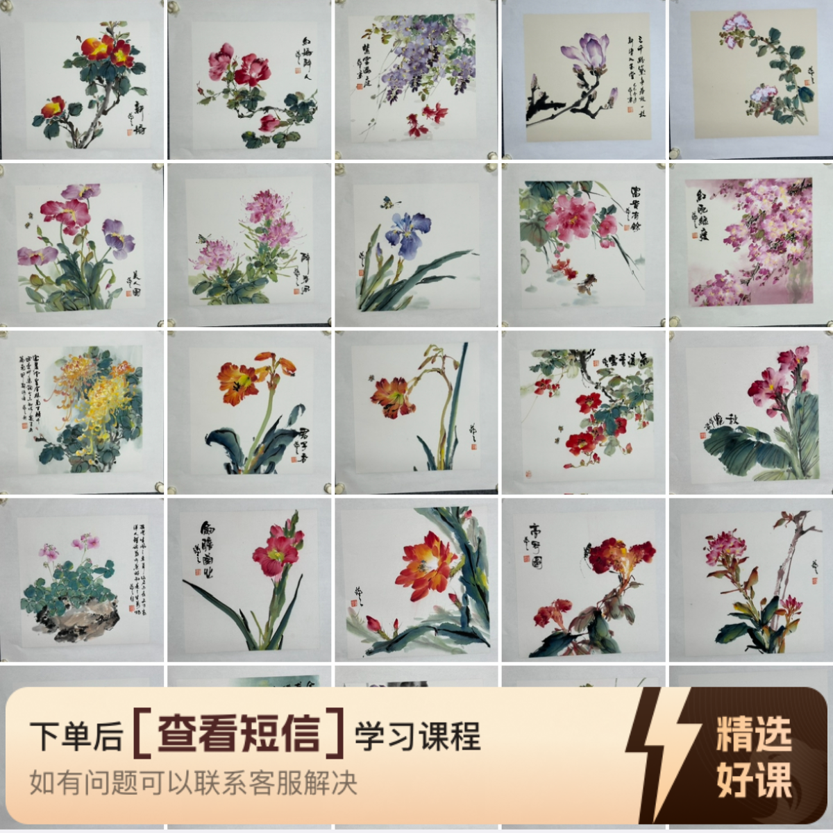 群花集之入门基础篇（留意短信解锁课程）