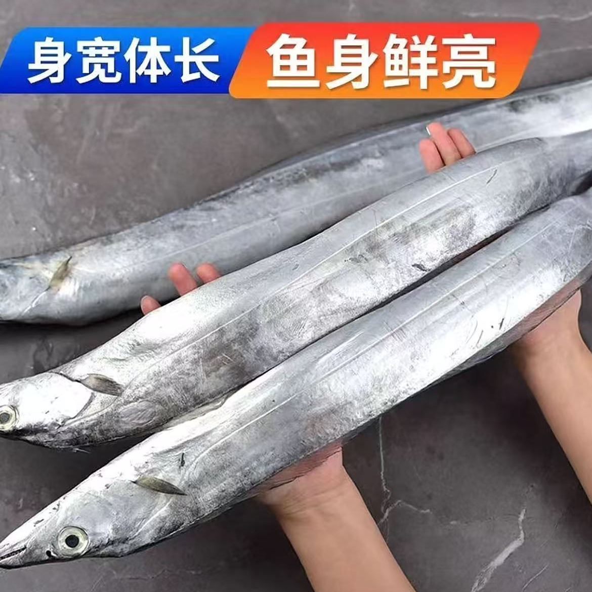 青岛纯野生带鱼海鲜刀鱼4斤顺丰包邮（黄/黑眼都有-介意勿拍）带鱼同城送