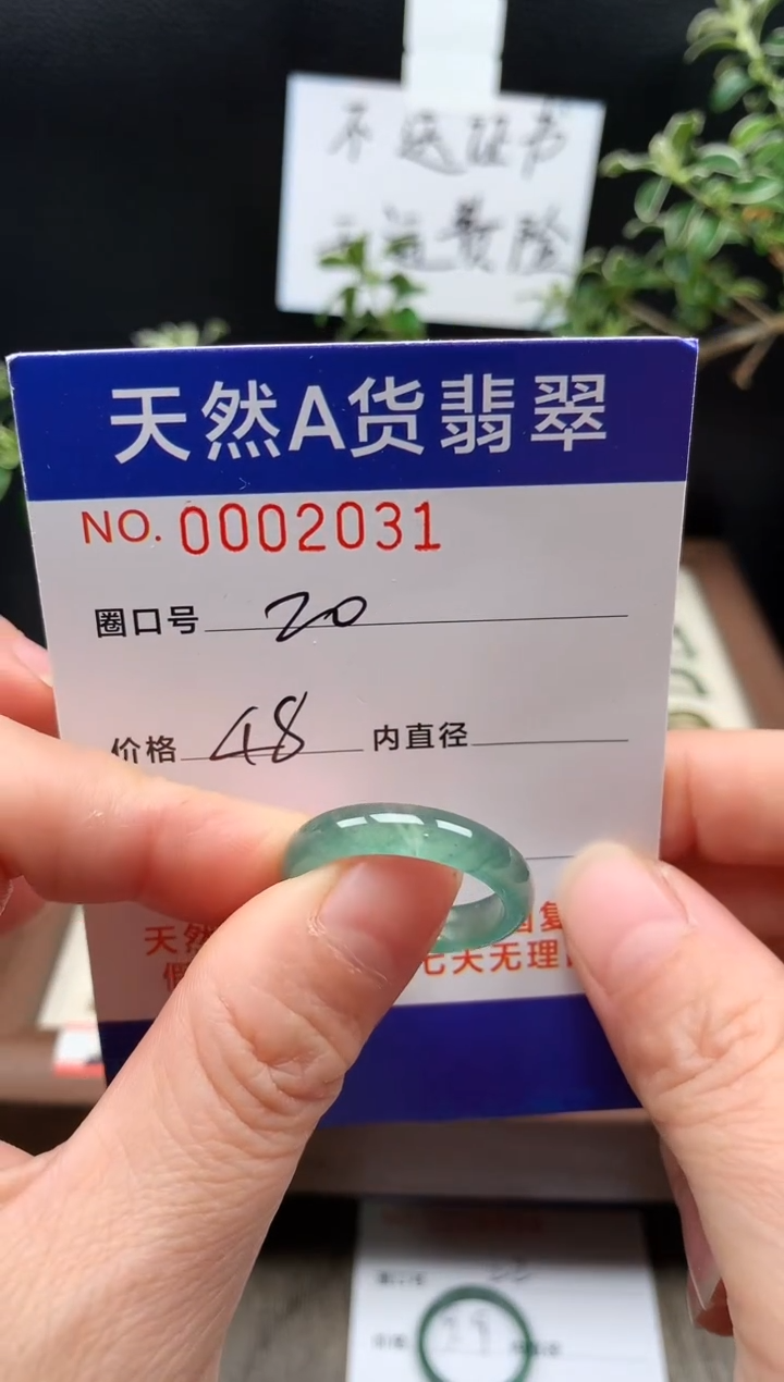 未镶嵌戒指翡翠20#