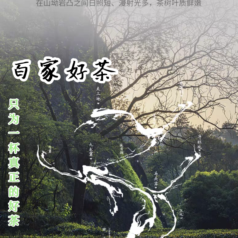 武夷岩茶（老枞1号）半斤