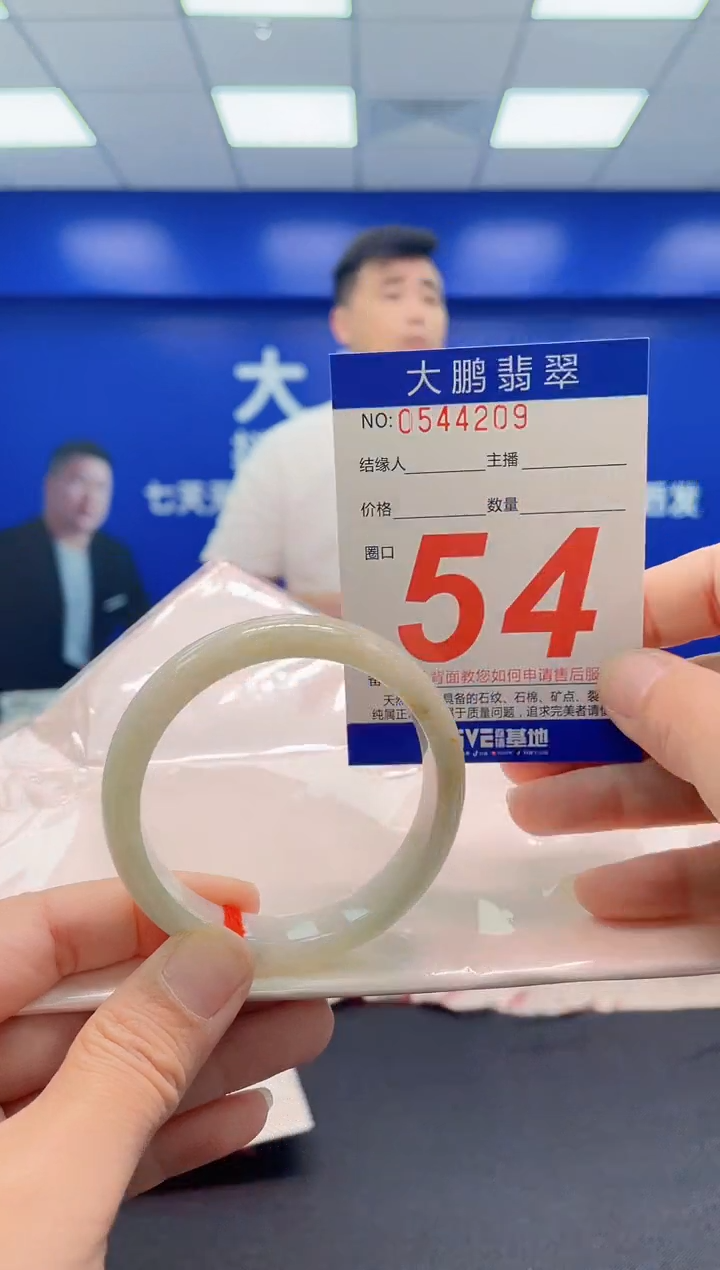 未镶嵌手镯翡翠AAAAAAAAA