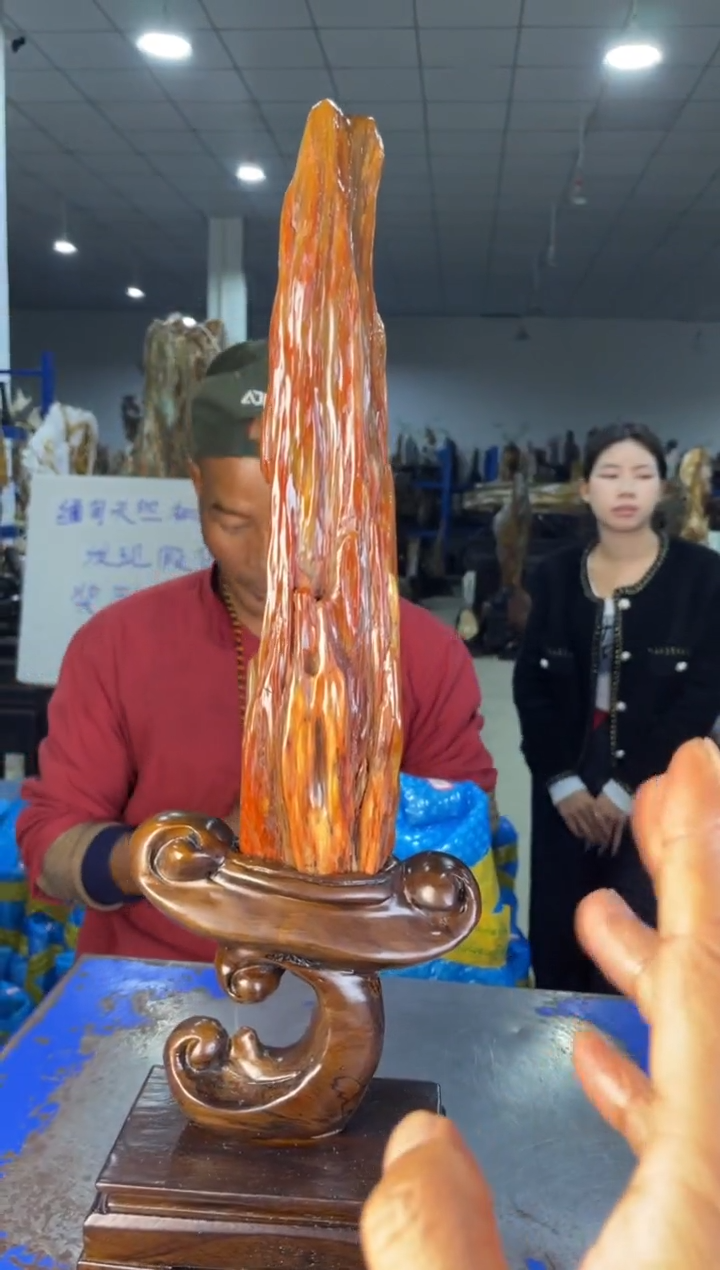 未镶嵌摆件硅化玉53