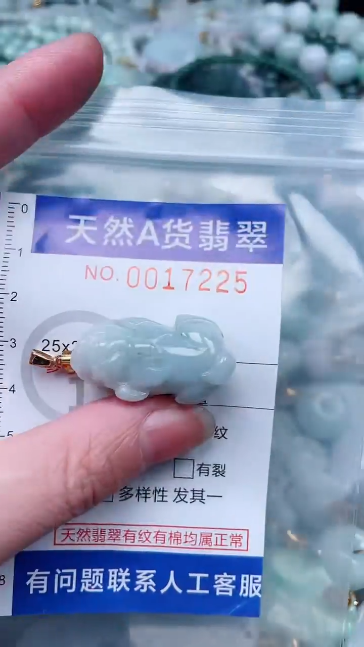 翡翠未镶嵌吊坠(不含链)1