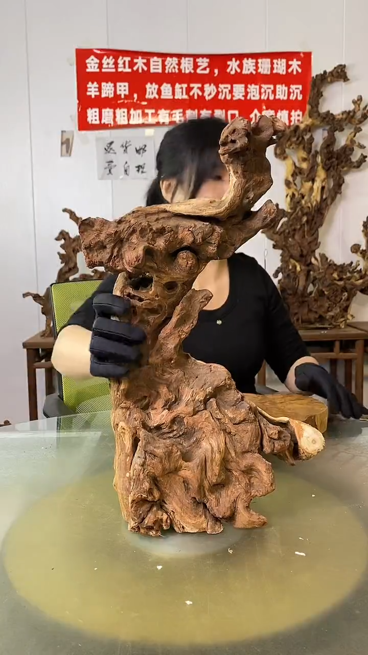 木俊*金丝红木 羊蹄甲