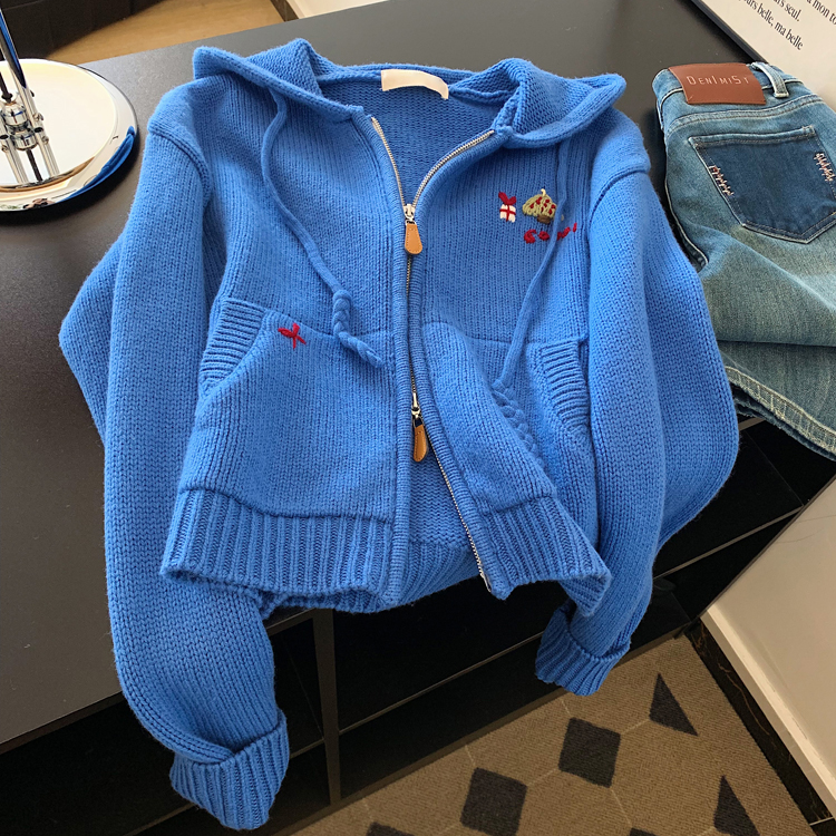 克莱因蓝双拉链连帽宽松针织开衫毛衣卫衣外套女显瘦短款气质上衣