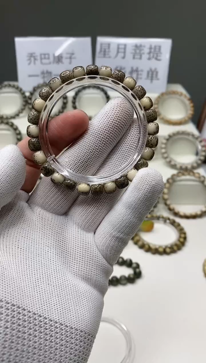 手串星月菩提304       b25