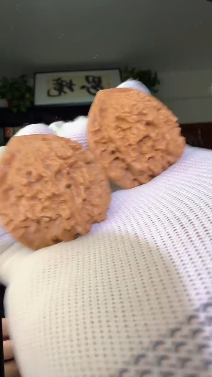 把件龙脊菩提007满天星 