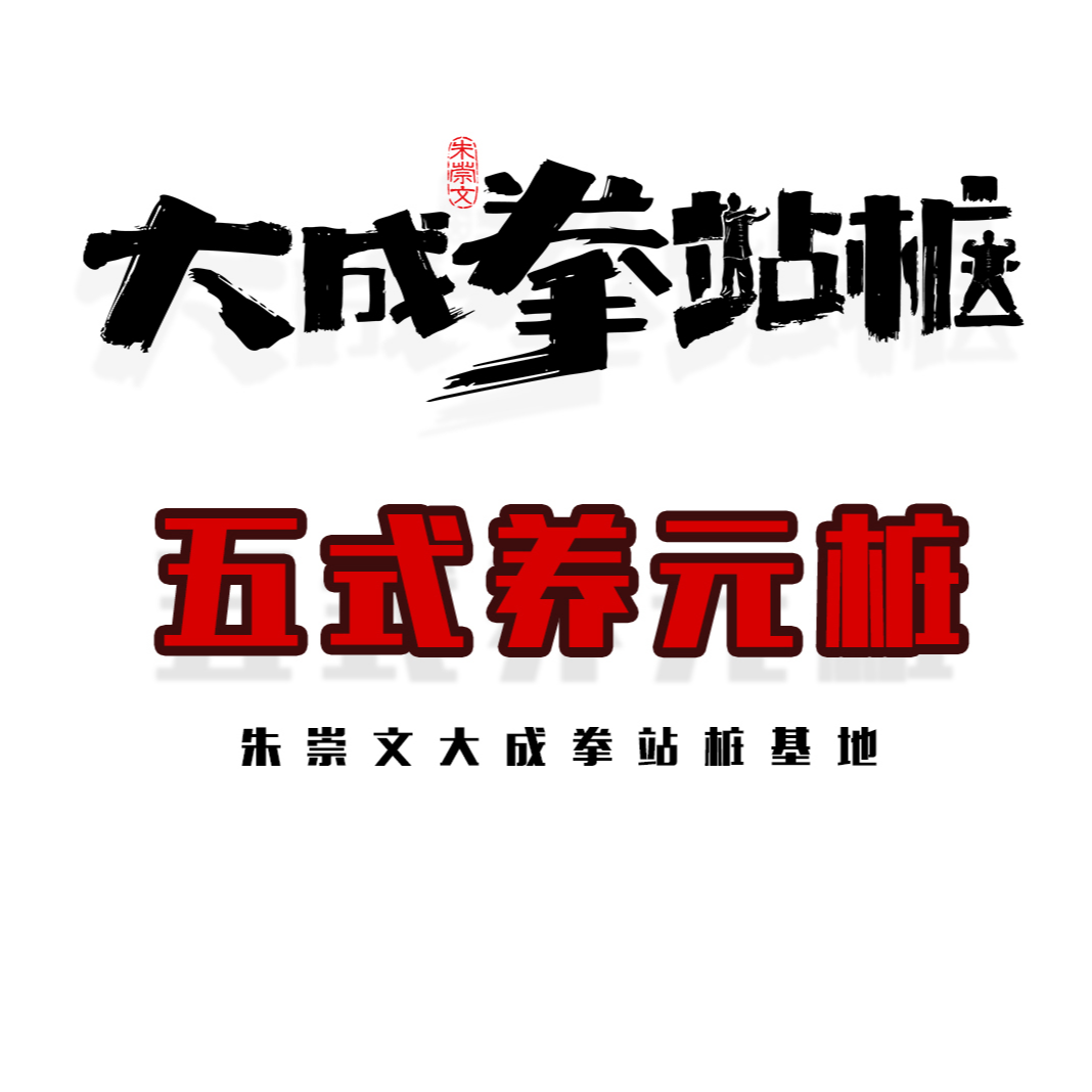 朱崇文大成拳五式养元桩