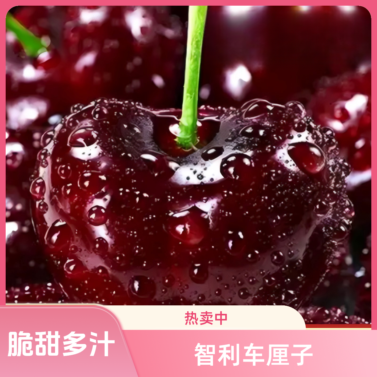 【ZZ】智利车厘子桑提娜海运进口4JD新鲜脆甜多汁 内附果径卡